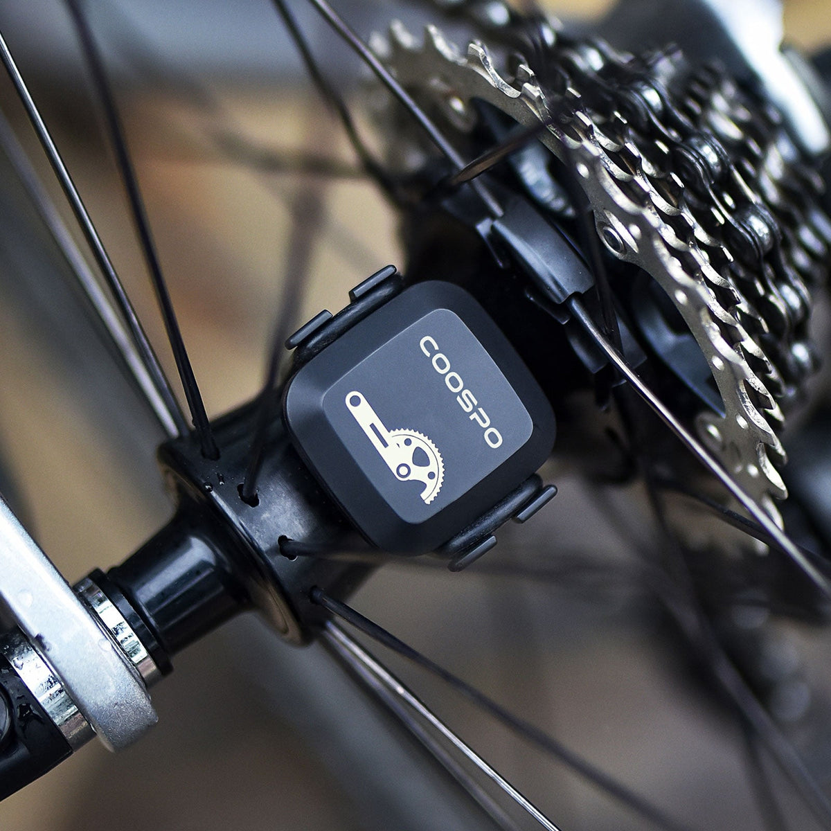 Cadence vs Speed Sensors: A Complete Guide to How They Work