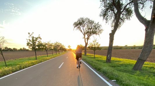 Sustainable Development of the Bicycle Industry